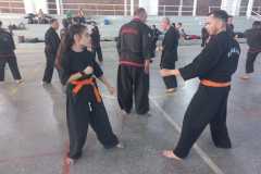 GRAND-MASTER-YOO-SOO-NAM-2025-1809