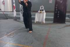 GRAND-MASTER-YOO-SOO-NAM-2025-1847