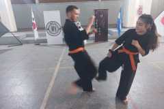 GRAND-MASTER-YOO-SOO-NAM-2025-2016