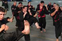 GRAND-MASTER-YOO-SOO-NAM-2025-2071