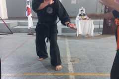 GRAND-MASTER-YOO-SOO-NAM-2025-2151