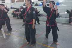 GRAND-MASTER-YOO-SOO-NAM-2025-631