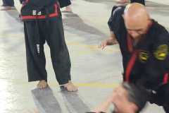 GRAND-MASTER-YOO-SOO-NAM-2025-641