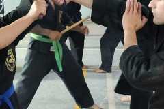 GRAND-MASTER-YOO-SOO-NAM-2025-672