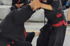 GRAND-MASTER-YOO-SOO-NAM-2025-704