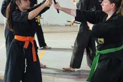 GRAND-MASTER-YOO-SOO-NAM-2025-727