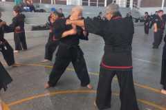 GRAND-MASTER-YOO-SOO-NAM-2025-806