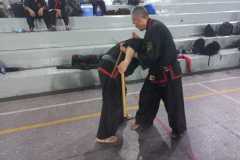 GRAND-MASTER-YOO-SOO-NAM-2025-815