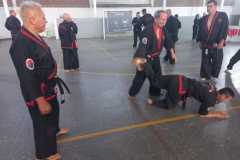 GRAND-MASTER-YOO-SOO-NAM-2025-830