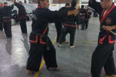 GRAND-MASTER-YOO-SOO-NAM-2025-926