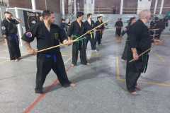 GRAND-MASTER-YOO-SOO-NAM-2025-976