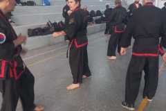 GRAND-MASTER-YOO-SOO-NAM-2025-999