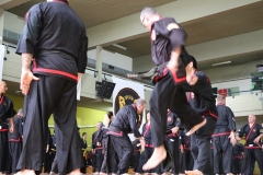 HENGSA 2019 ARGENTINA