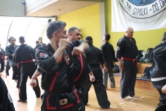HENGSA 2019 ARGENTINA