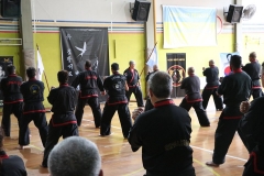 HENGSA 2019 ARGENTINA