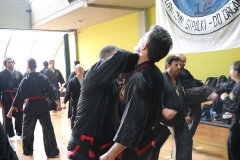 HENGSA 2019 ARGENTINA