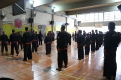 HENGSA 2019 ARGENTINA