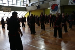 HENGSA 2019 ARGENTINA