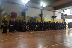 Hengsa 2019. villa gesell