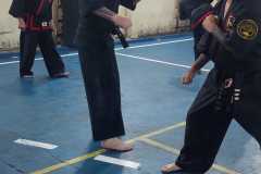 HWANGAP-DAE-WON-YOO-86