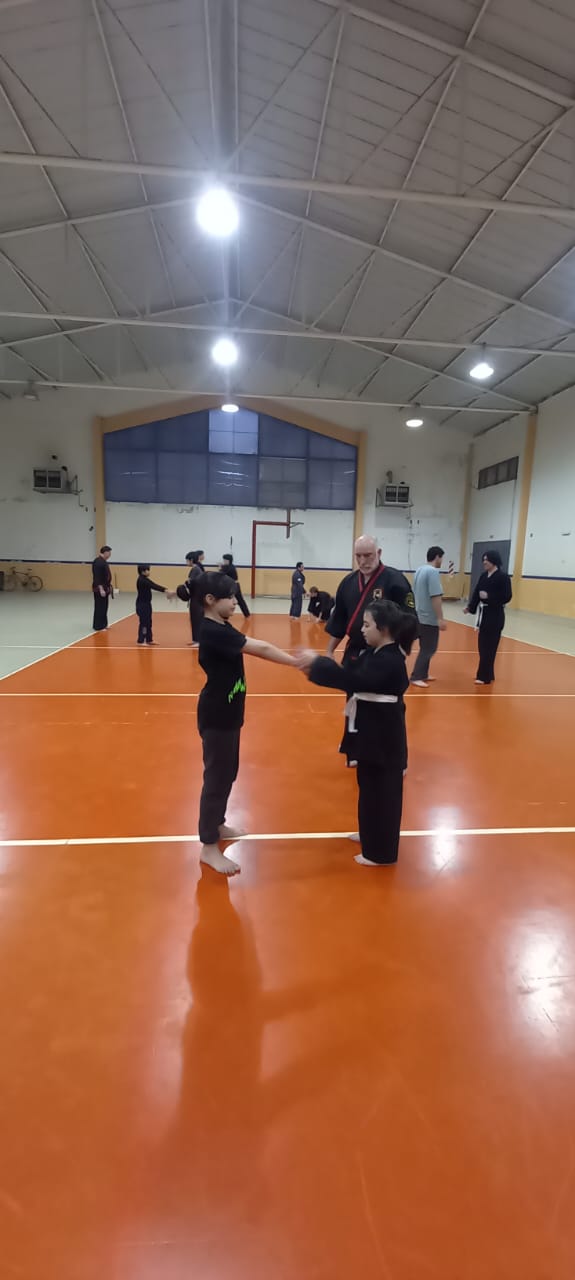 INTENSA Y EXTENSA JORNADA DE SIPALKI-DO EN LA PAMPA