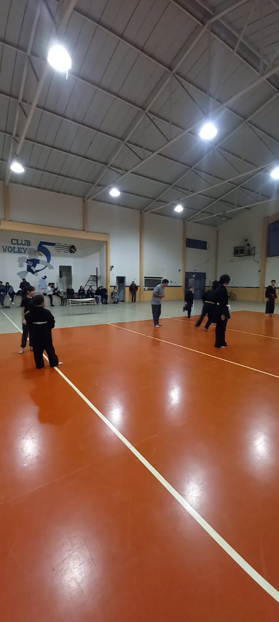 INTENSA Y EXTENSA JORNADA DE SIPALKI-DO EN LA PAMPA