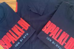 REMERA SIPALKI-DO ION BI RYU