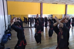 SHIMSA -  YE SHIMSA &  SUOB