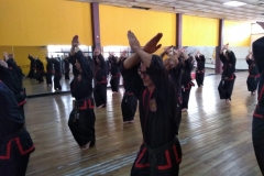 SHIMSA -  YE SHIMSA &  SUOB