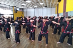 SHIMSA -  YE SHIMSA &  SUOB