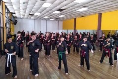 SHIMSA -  YE SHIMSA &  SUOB