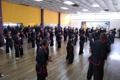 SHIMSA -  YE SHIMSA &  SUOB