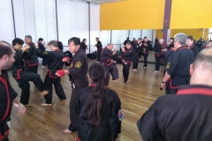 SHIMSA -  YE SHIMSA &  SUOB