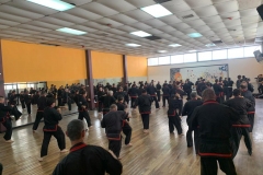 SHIMSA -  YE SHIMSA &  SUOB