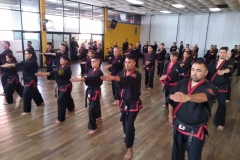 SHIMSA -  YE SHIMSA &  SUOB