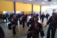 SHIMSA -  YE SHIMSA &  SUOB