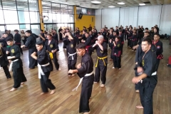 SHIMSA -  YE SHIMSA &  SUOB