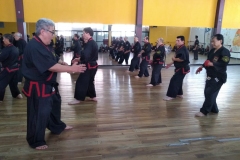 SHIMSA -  YE SHIMSA &  SUOB