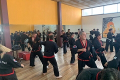 SHIMSA -  YE SHIMSA &  SUOB