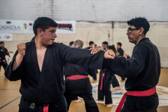SUOB ION BI RYU