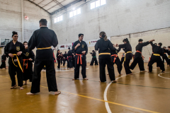 SUOB ION BI RYU