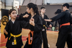 SUOB ION BI RYU