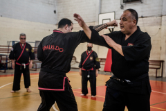 SUOB ION BI RYU
