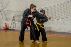 SUOB ION BI RYU