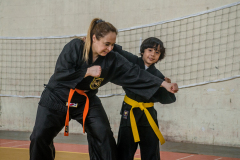 SUOB ION BI RYU