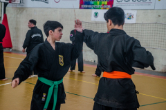 SUOB ION BI RYU