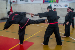SUOB ION BI RYU