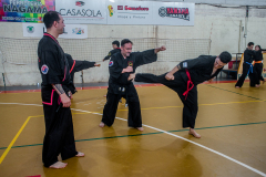 SUOB ION BI RYU
