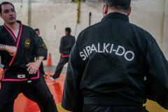 SUOB ION BI RYU