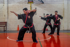 SUOB ION BI RYU